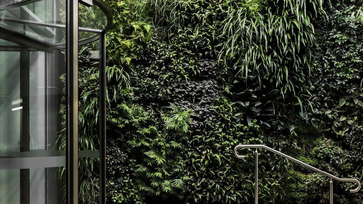 plant, vegetation, garden, nature, outdoors, land, rainforest, tree, indoors, interior design