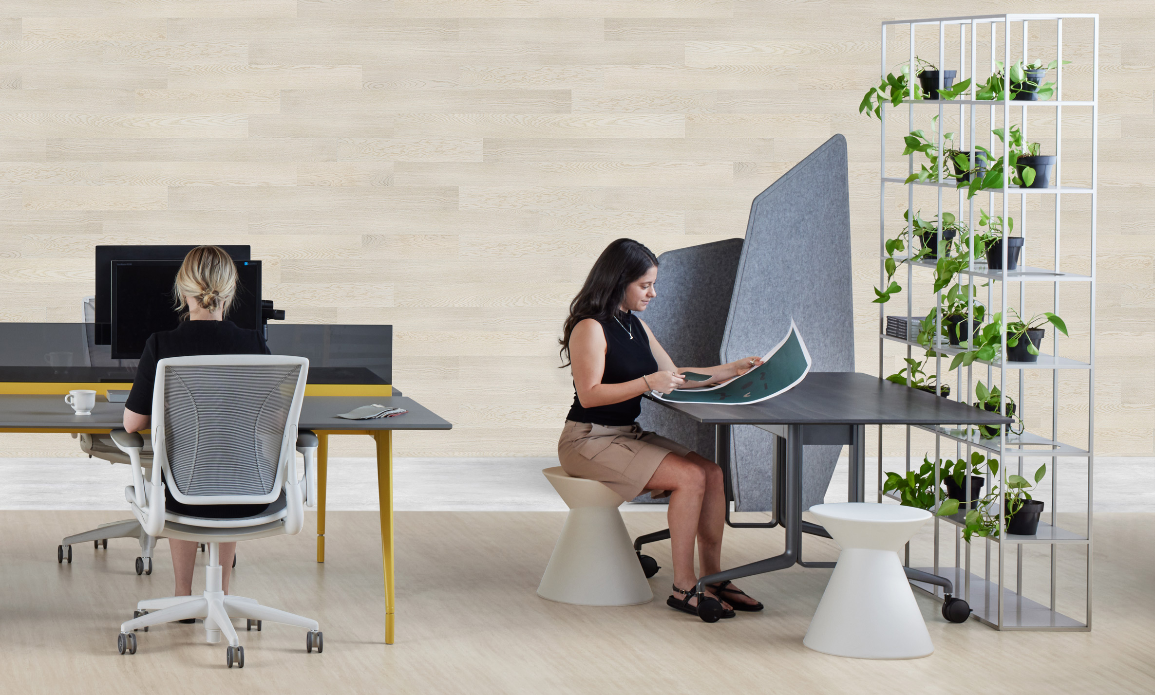 furniture, table, desk, chair, adult, female, person, woman, indoors, plant