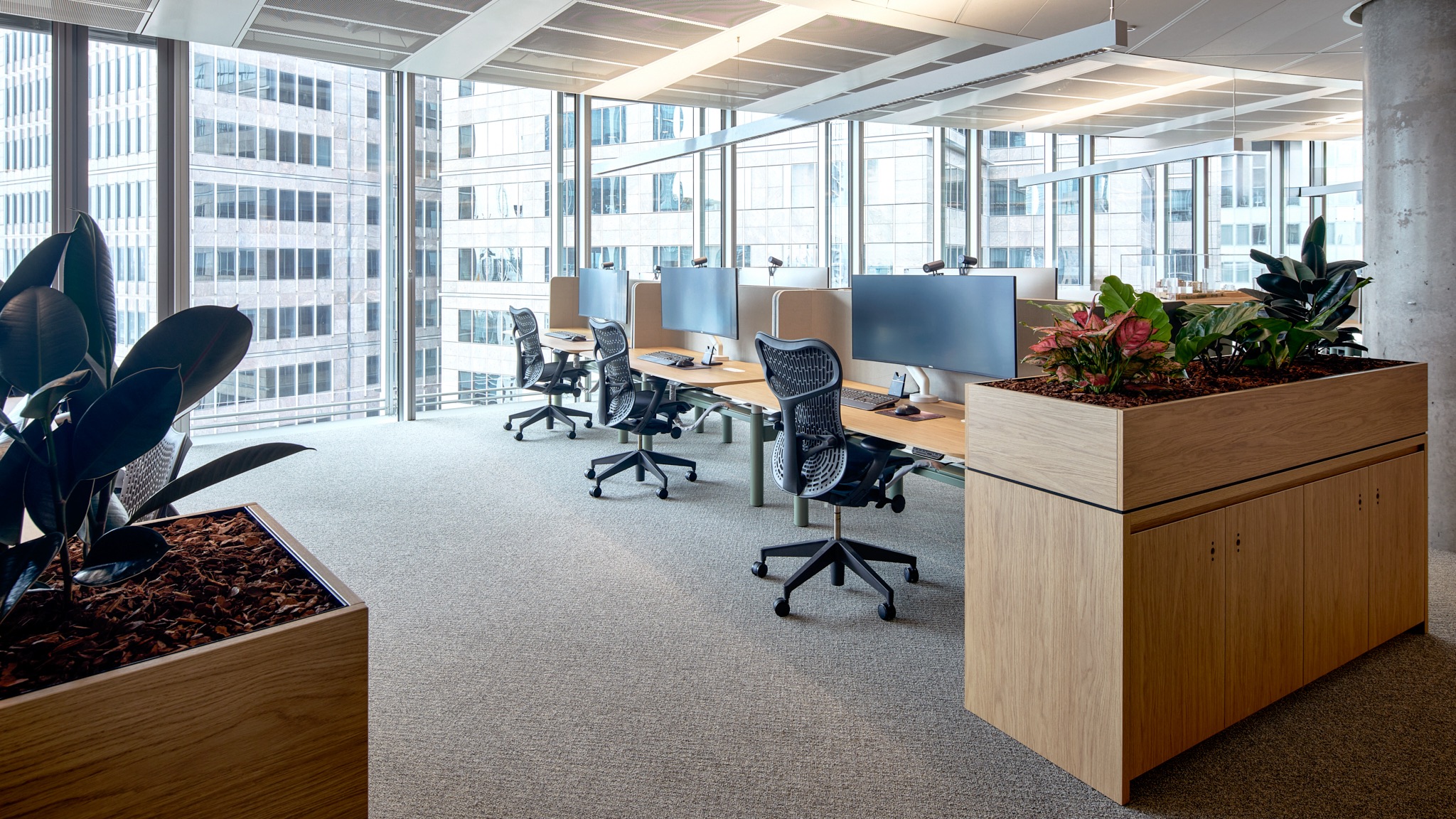 potted plant, indoors, furniture, table, chair, interior design, monitor, desk, computer keyboard, office
