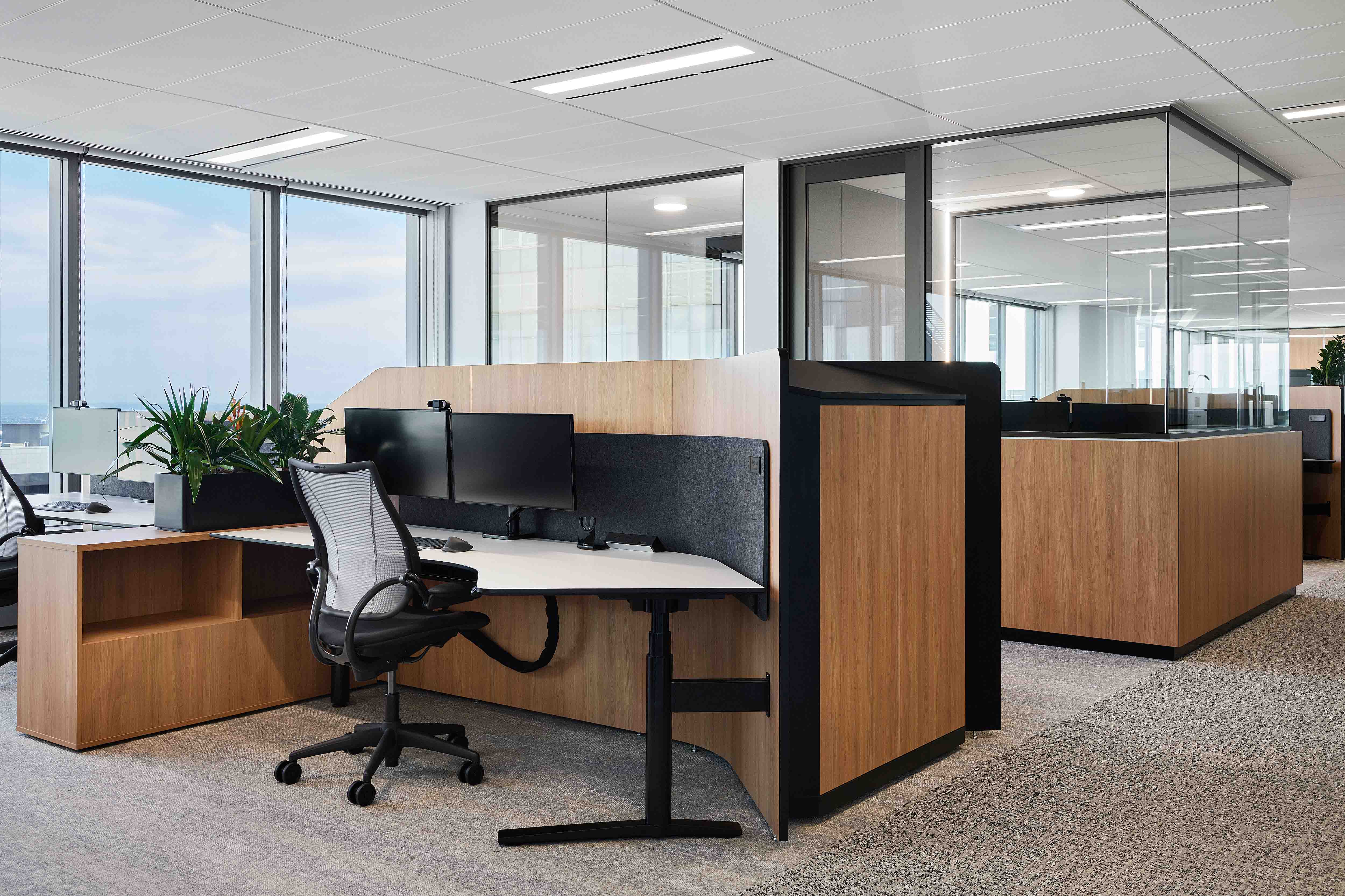 furniture, indoors, table, chair, office, plant, monitor, screen, office chair, desk