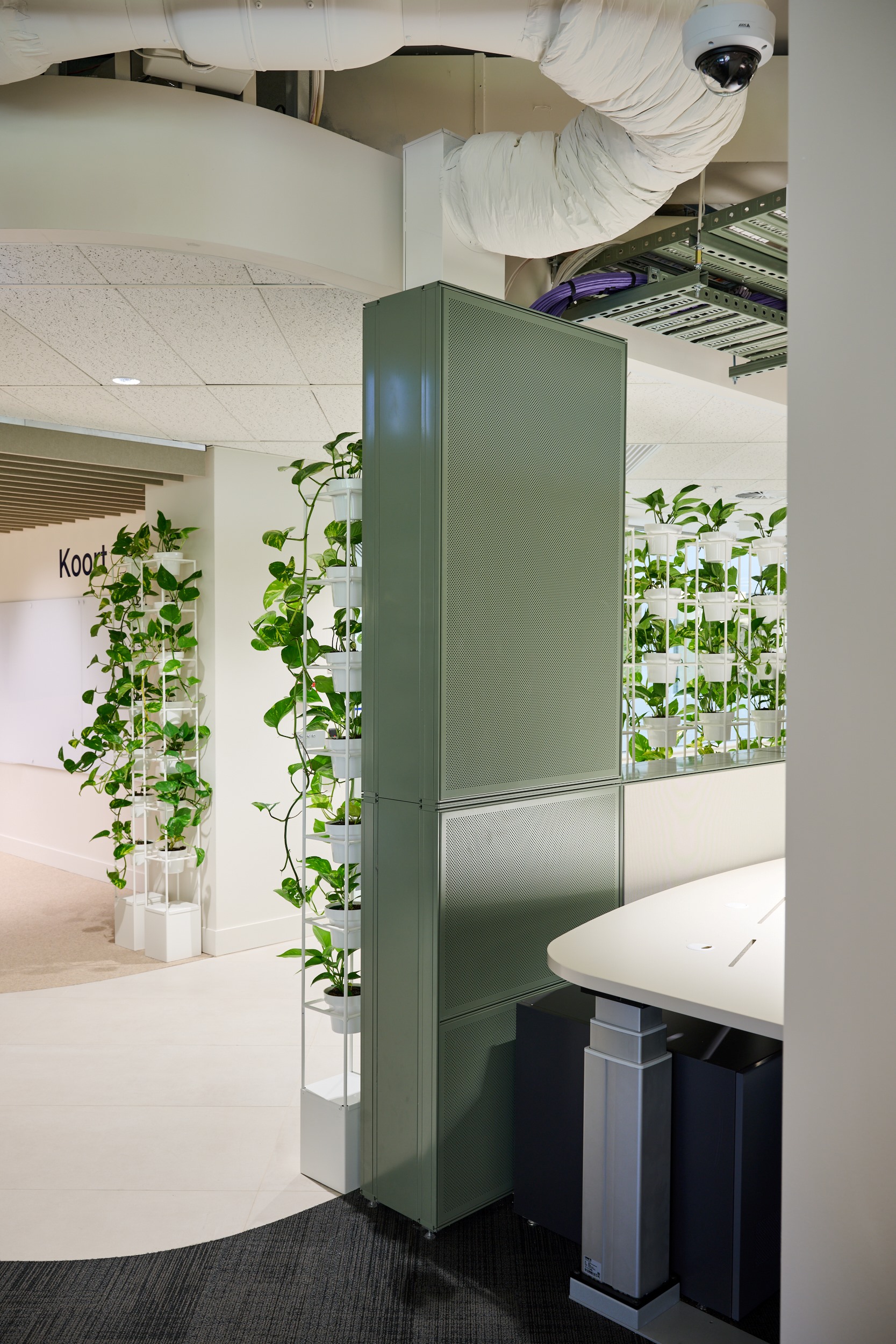 plant, potted plant, adult, male, man, person, planter, pottery, vase, vine